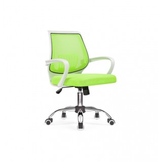 Кресло офисное ERGOPLUS Green/ BX351green mesh(9)+white plastic
